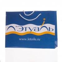 Пакет Летуаль 25х35х10 оптом в Ульяновск 